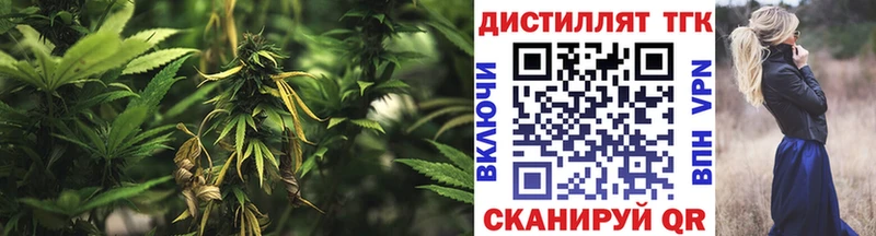 omg как войти  Певек  ТГК гашишное масло 
