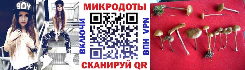 Псилоцибиновые грибы Psilocybine cubensis  Певек 